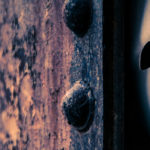 La comédie(in)humaine