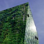 La raison d'être de l’entreprise change-t-elle celle de l’actionnaire ?