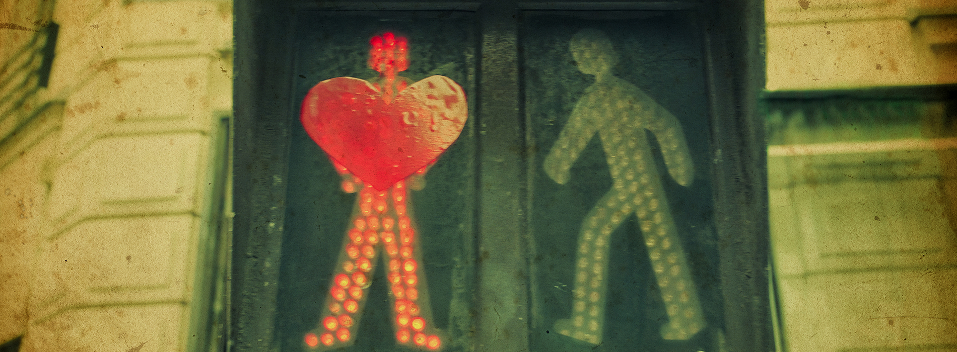 4 étapes pour engager une transformation régénérative