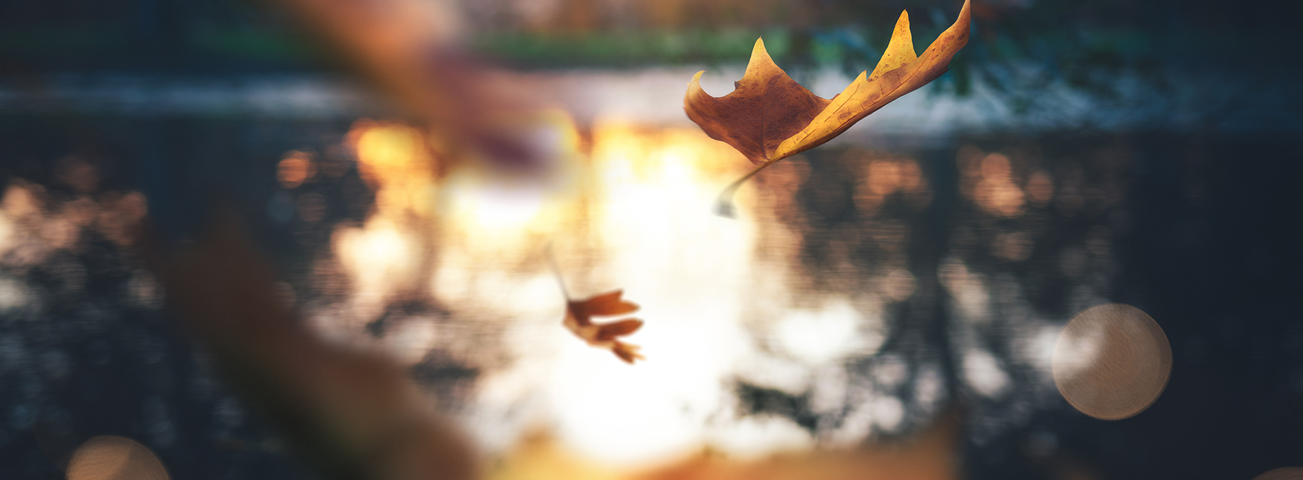 Why is change so difficult?