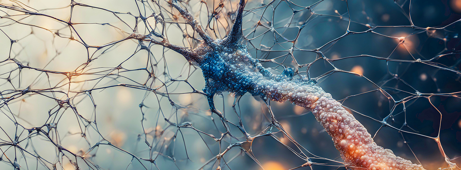 Contexte vs Cerveau
Que faire pour (vraiment) changer ?