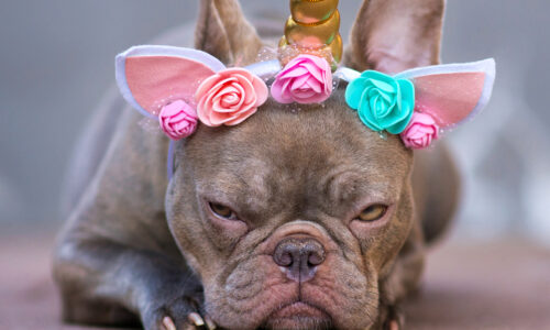 Prêt à changer ? À chaque profil son kit de survie