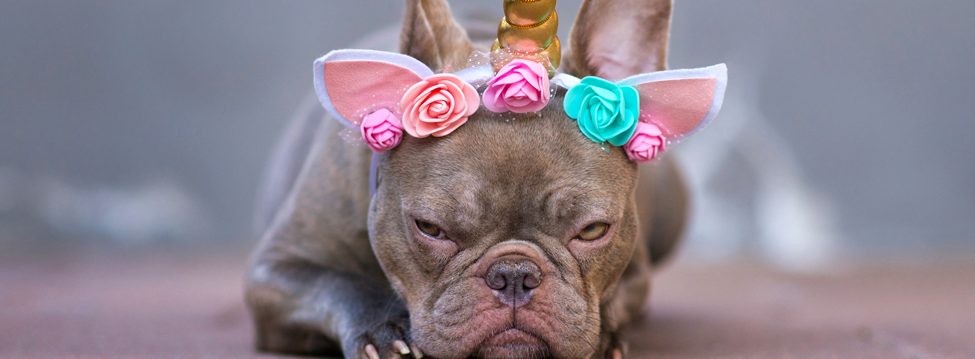 Prêt à changer ? À chaque profil son kit de survie